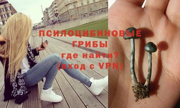 шишки Богданович