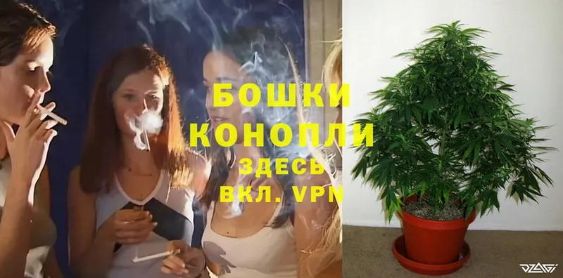 дарнет шоп  Заволжье  Шишки марихуана SATIVA & INDICA 